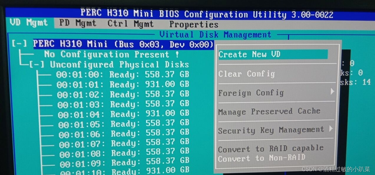 Dell DELL server RAID array method_super detailed graphic tutorial