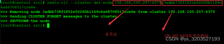 redis-cluster cluster