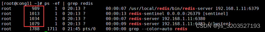 redis-cluster cluster