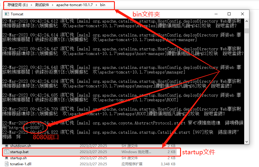 The lightweight open source server Tomcat is deployed locally and publishes web pages to the public network for remote access.