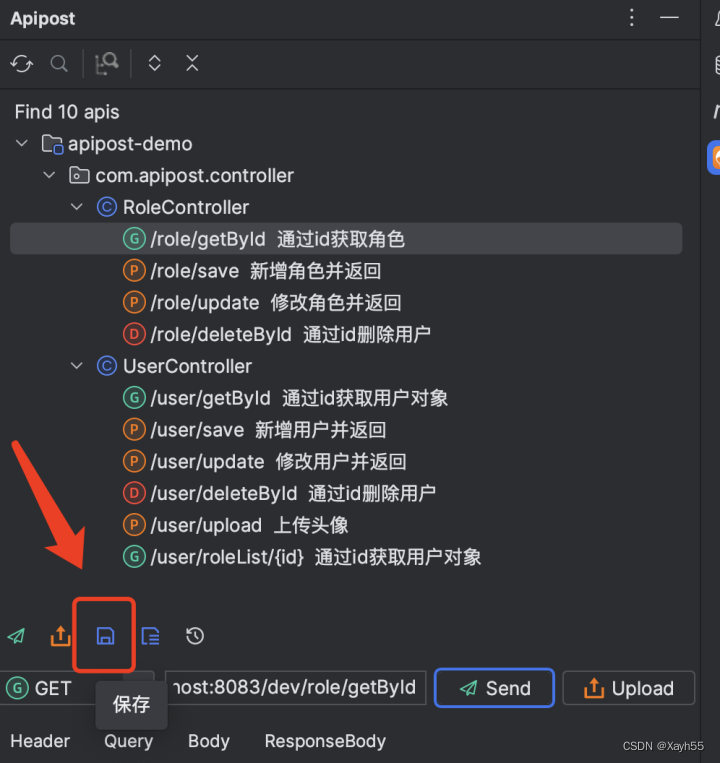 Can postman be used in IDEA?