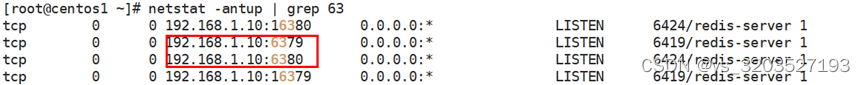 redis-cluster cluster